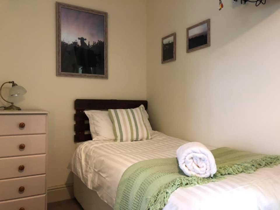 Red Kite Cottage Carmarthen Exterior photo