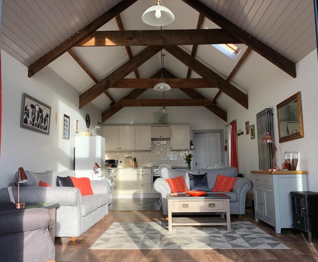 Red Kite Cottage Carmarthen Exterior photo