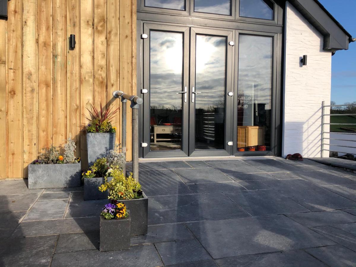 Red Kite Cottage Carmarthen Exterior photo