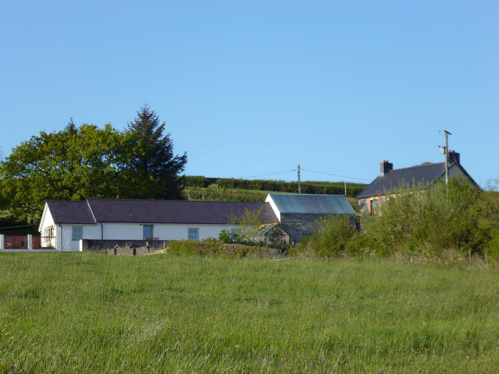Red Kite Cottage Carmarthen Exterior photo