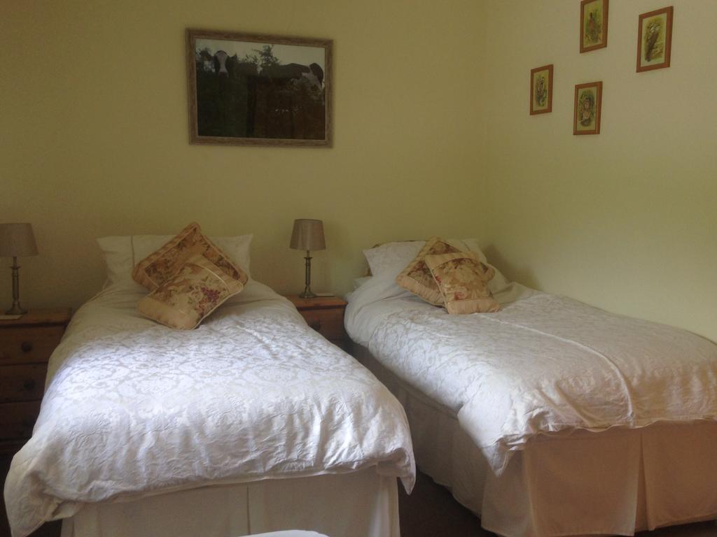 Red Kite Cottage Carmarthen Exterior photo