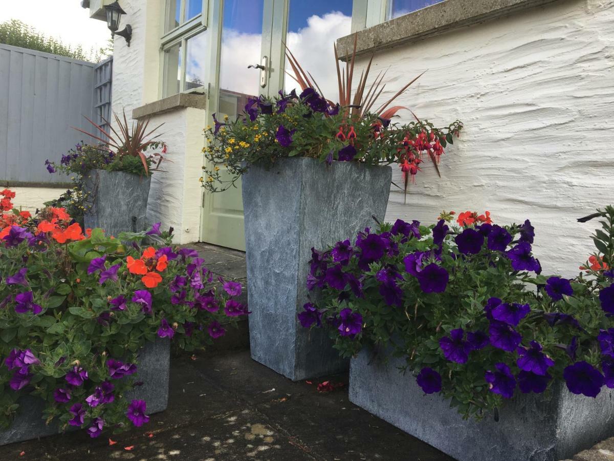 Red Kite Cottage Carmarthen Exterior photo